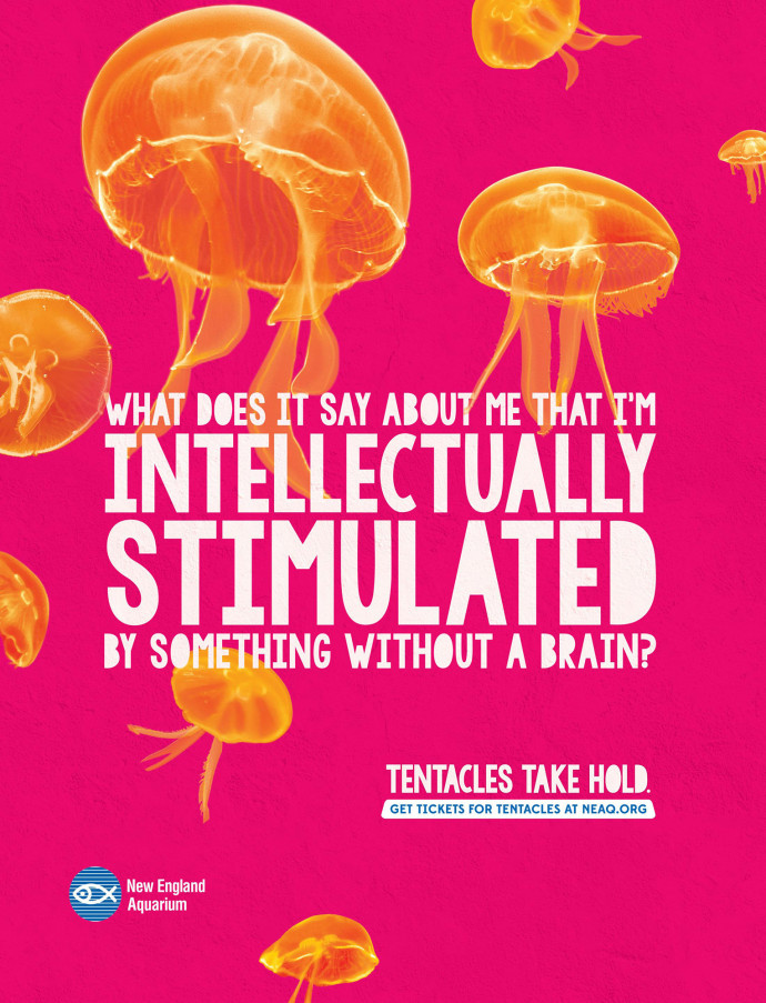 New England Aquarium Tentacles take hold, 3