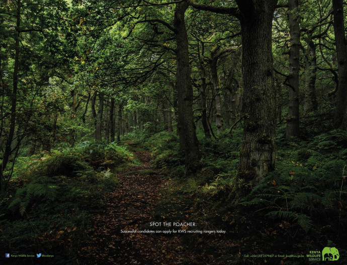 KWS: Forest