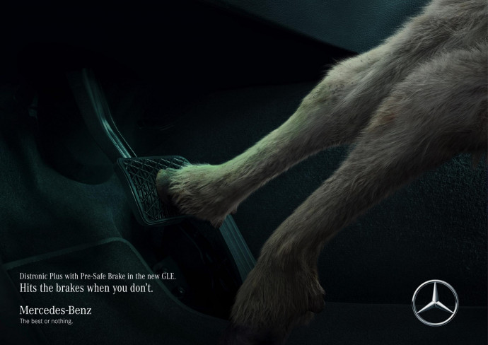 Mercedes: Goat saves goat