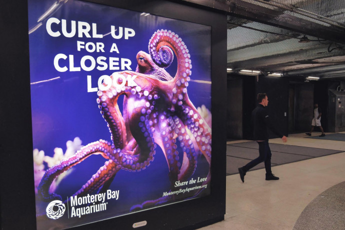 Monterey Bay Aquarium: Share the Love&mdash;BART Station Domination, 2