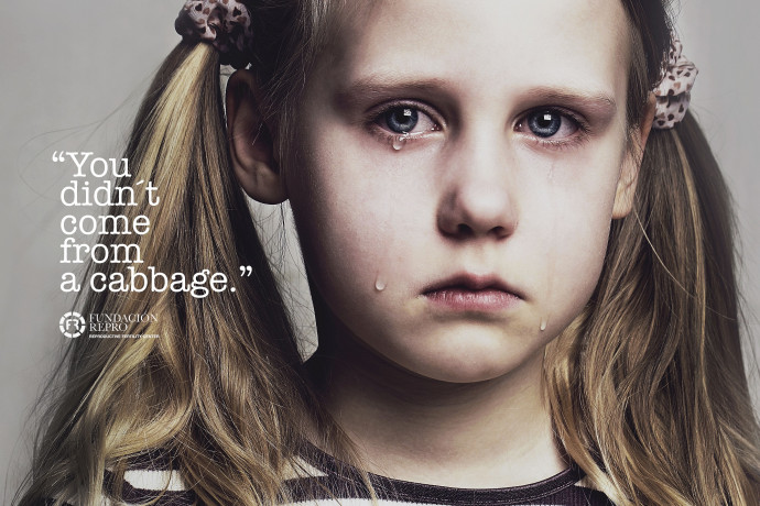 Fundaci&oacute;n Repro: Disillusionment, 2