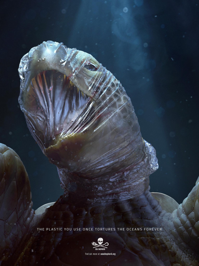 Sea Shepherd: Turtle