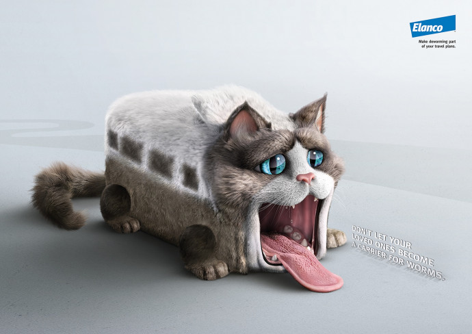 Elanco: Traveling Cat