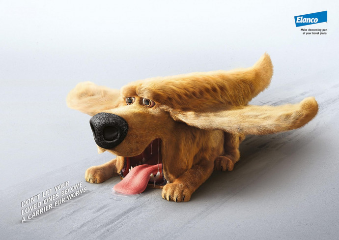 Elanco: Traveling Dog