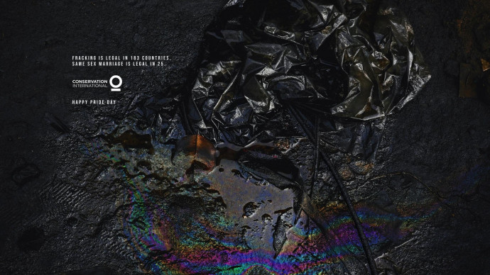 Conservation International: Happy Pride Day, 3