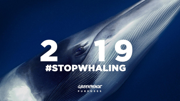 Greenpeace: Purposes, 12