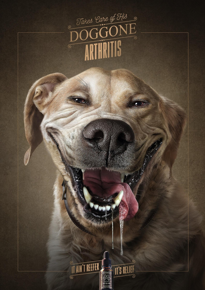 NYC Botanics Pet Oil: It Ain't Reefer, It's Relief, 3