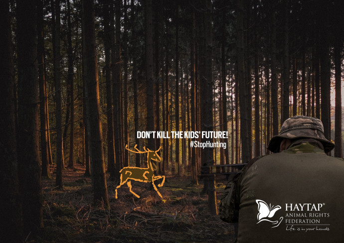 Haytap: Stop Hunting (Deer)