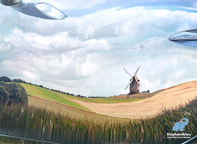 Elephant Bleu: Reflections, 1