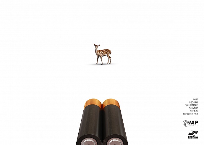 Government of Paran&aacute; State: Deer