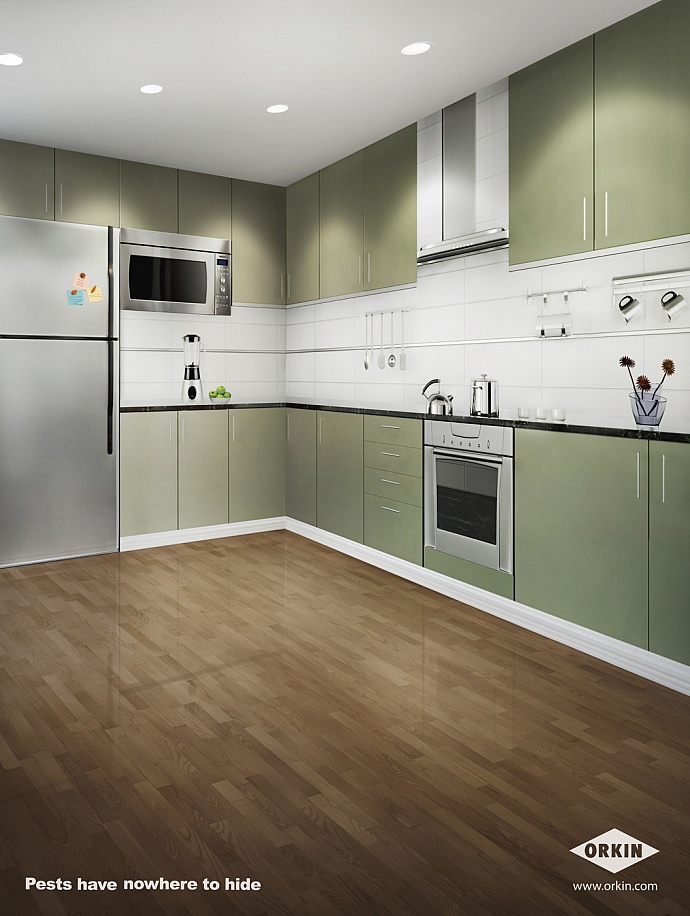 Orkin Pests Control: Kitchen