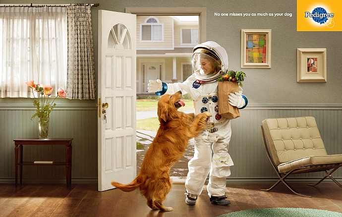 Pedigree: Astronaut