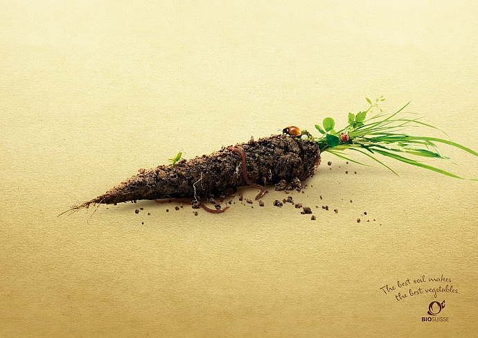 Bio Suisse: Carrot