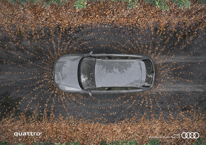 Audi Quattro: Fields, 2