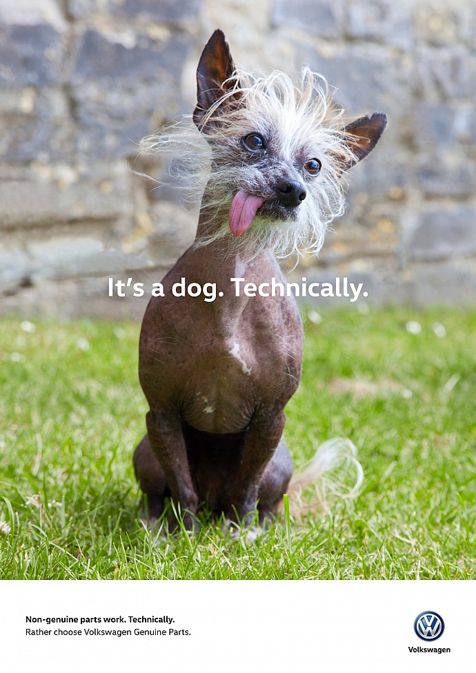 Volkswagen: Dog