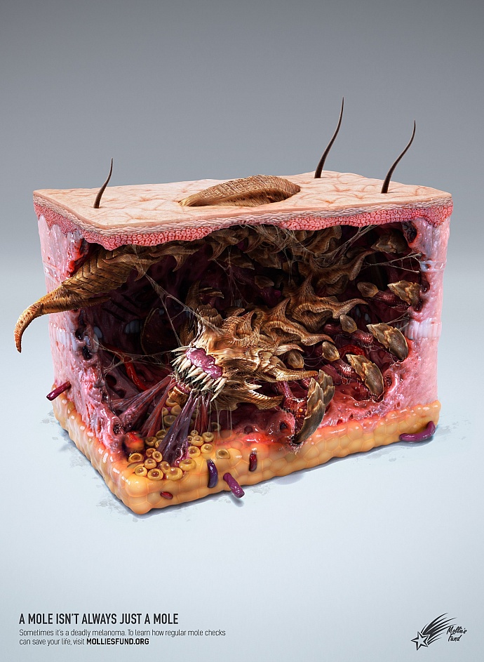 Mollie's Fund: Insect