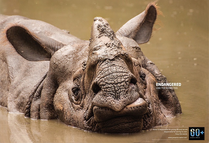 Earth Hour: Rhino