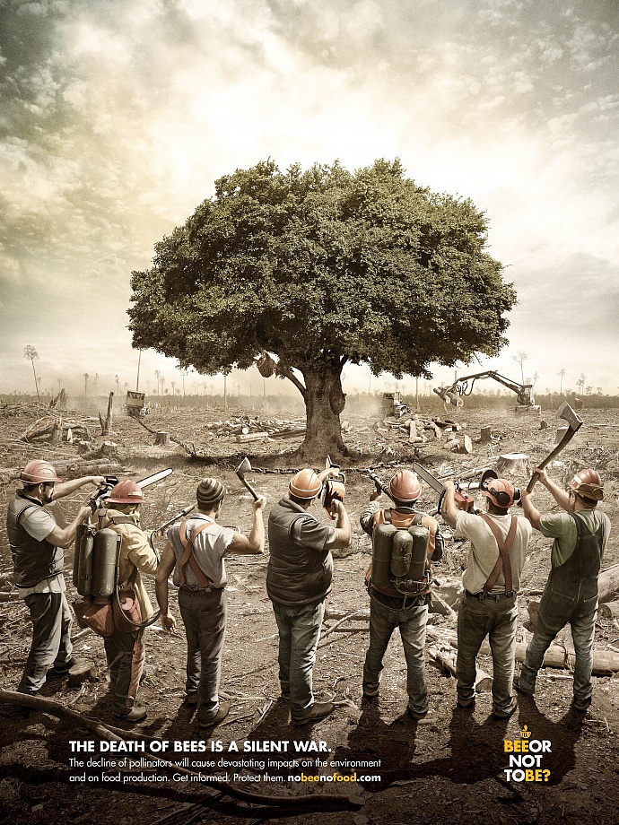 Bee or not to be: Firing squad