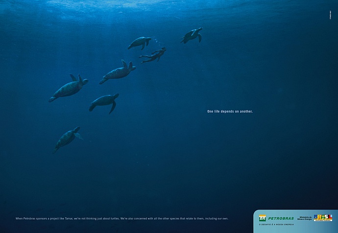 Petrobras: Turtles