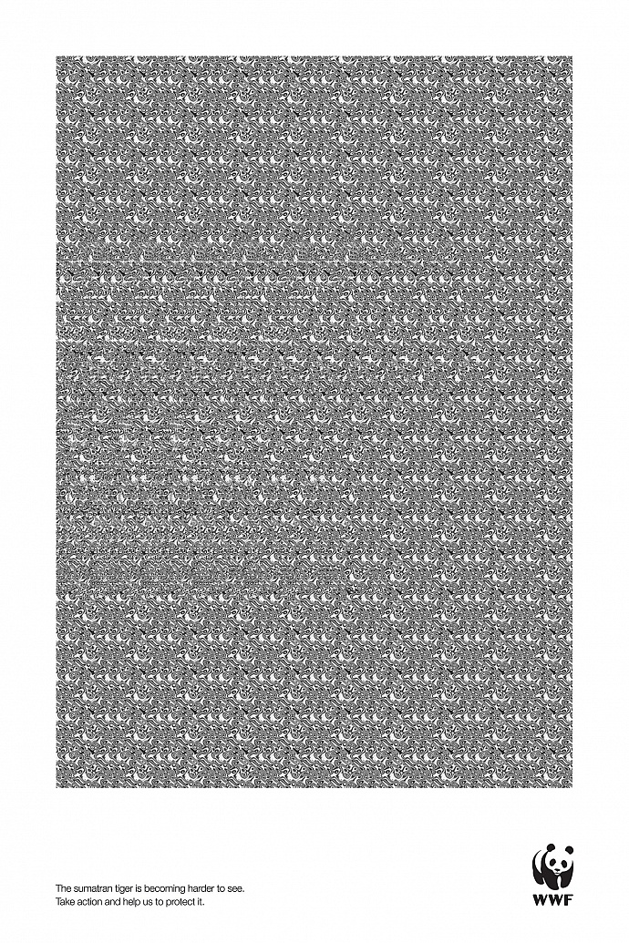 WWF: Sumatran tiger