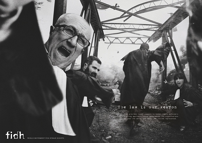 FIDH: The law is our weapon, 2