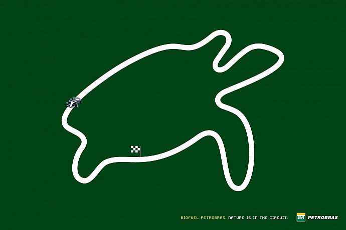 Petrobras: Turtle