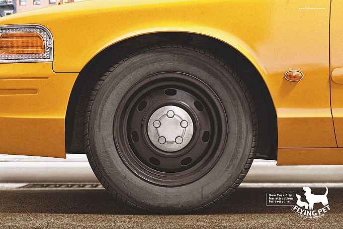 Flying Pet: New York