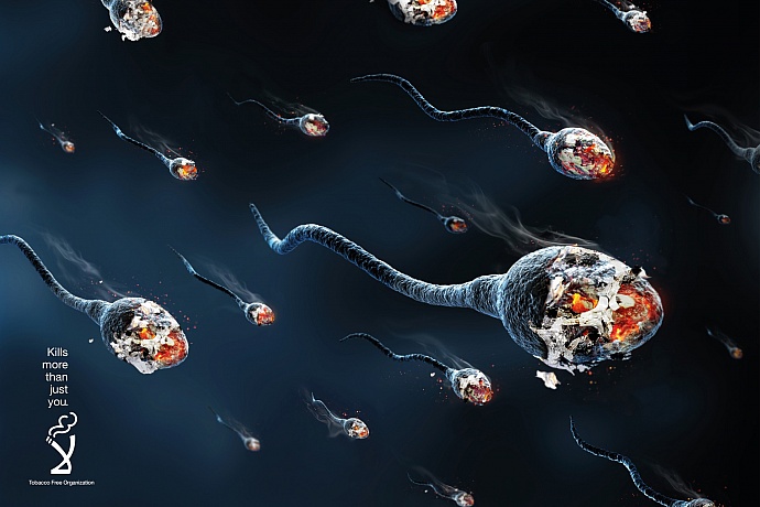 Tobacco Free Jordan: Kills more