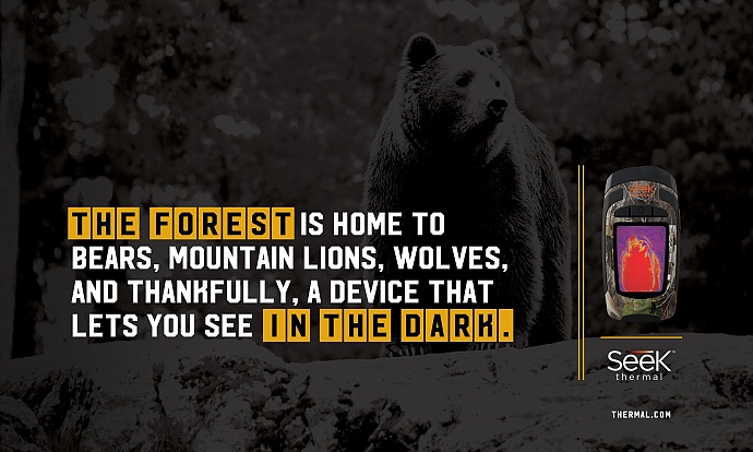 Seek Thermal: Bear