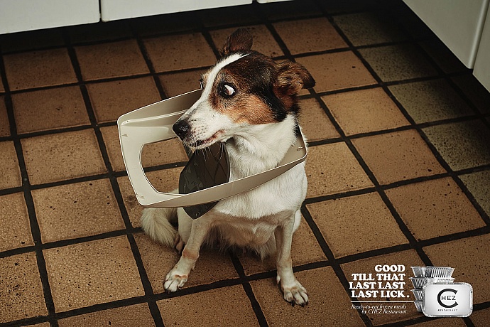 Chez Restaurant: Stuck - Mutt
