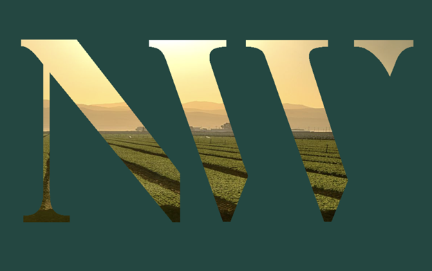 Noble West Announces Significant Growth with Nine New Hires, Including Director of Project Operations