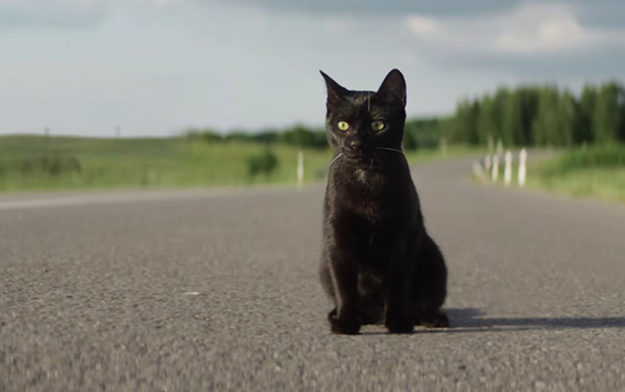 Ad of the Day | Direct Assurance Unveils a Film for when Bad Luck Strikes